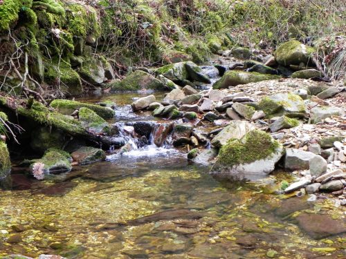 39.-Flowing-through-Mansley-Combe-2