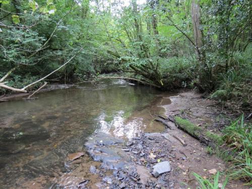 39.-Flowing-through-Weir-Copse