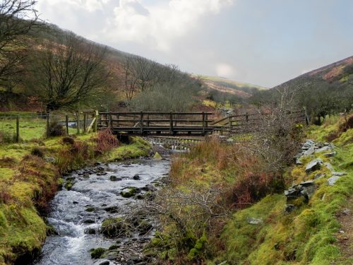 39.-Freds-Path-Footbridge-2