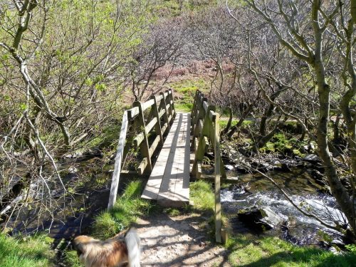 39.-Heddon-Mouth-Footbridge-2