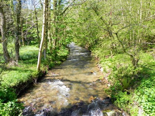 39.-Looking-downstream-from-Slowley-Wood-ROW-Bridge-3125-2