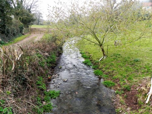 39.-Looking-upstream-from-Lynch-Mead-bridge-2