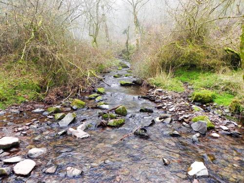 39.-Upstream-from-Aller-Combe-2