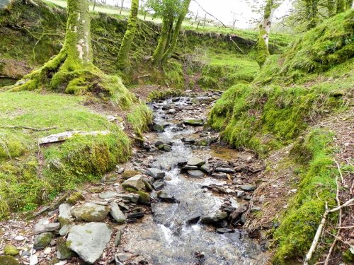 39.-Upstream-from-Holworthy-Ford-2