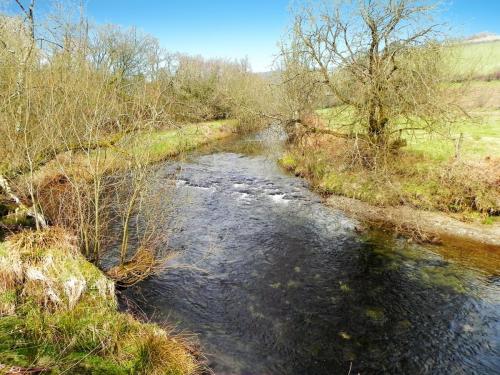 39.-Upstream-from-Knighton-Combe-2