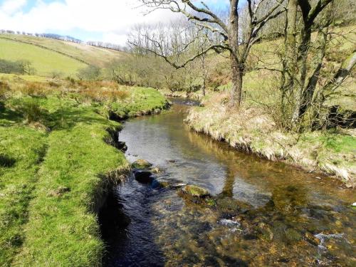 39.-Upstream-from-Sherdon-Cottage-2