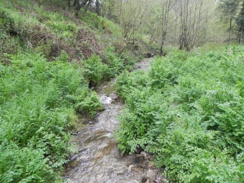 39.-Upstream-from-Tarr-Water-Cottages-3