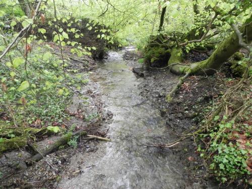 39.-Upstream-from-Tarr-Water-Cottages-6