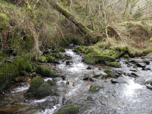 39.-Waters-from-Stoke-Combe-join-Horner-Water