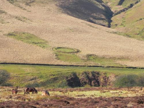 3a.-Sheepfold-above-Hoar-Oak-Water-2