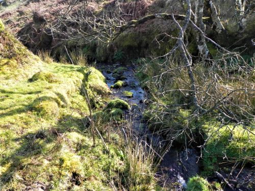 4.-Bagley-Combe-Headwater-2