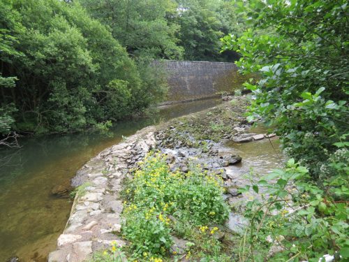 4.-Bridgetown-Mill-Weir-1
