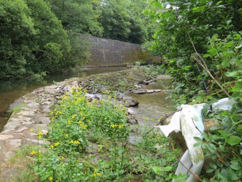 4.-Bridgetown-Mill-Weir-2