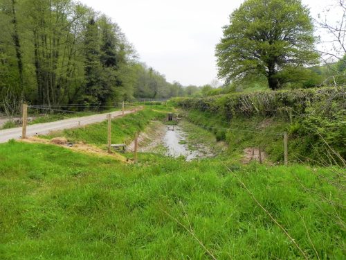 4.-By-Pit-Lane-fish-ponds-2