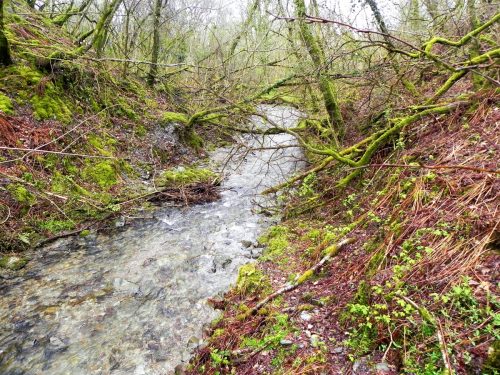 4.-Downstream-from-A39-Culvert-2