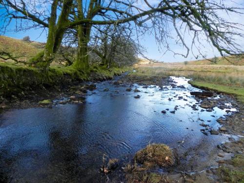 4.-Downstream-from-Hoar-Oak-Tree-2