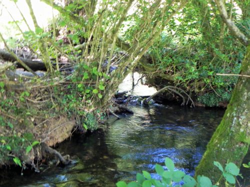 4.-Downstream-from-Huish-Bridge-2