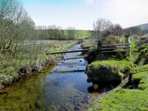 4.-Downstream-from-Lower-Willingford-Bridge-3