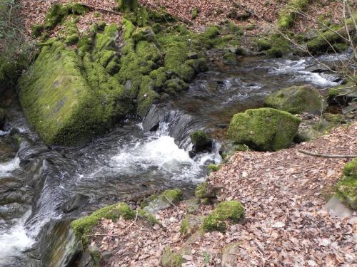 4.-Downstream-from-Pool-Bridge