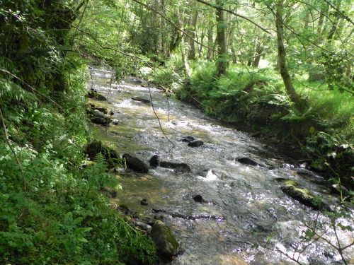 4.-Downstream-from-Ragstone-Cottages-1