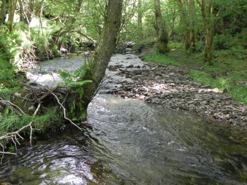 4.-Downstream-from-Ragstone-Cottages-2