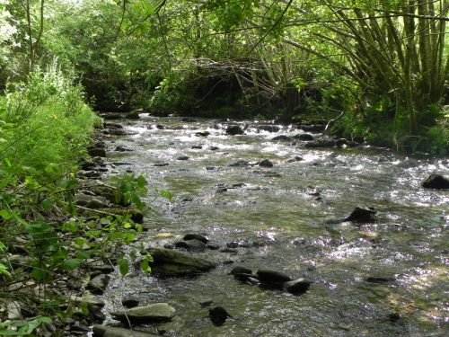 4.-Downstream-from-Ragstone-Cottages-5