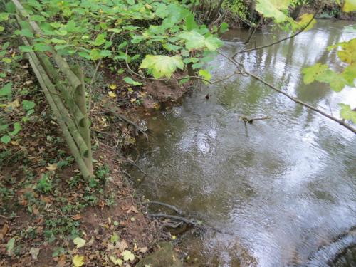 4.-Downstream-from-Wellisford-Manor-Weir-1