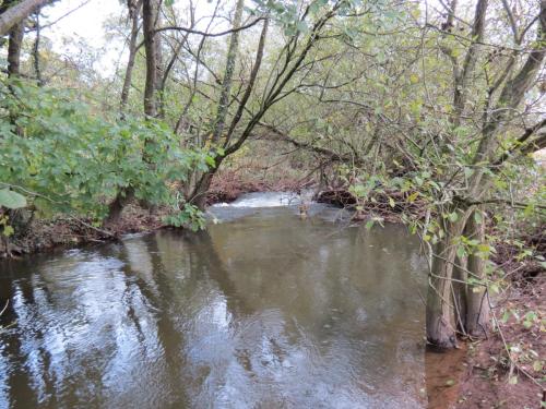 4.-Downstream-from-Wellisford-Manor-Weir-11
