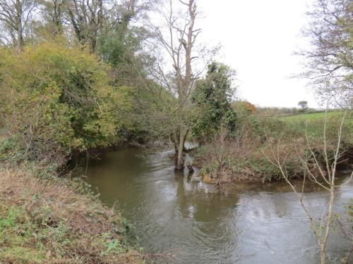 4.-Downstream-from-Wellisford-Manor-Weir-13