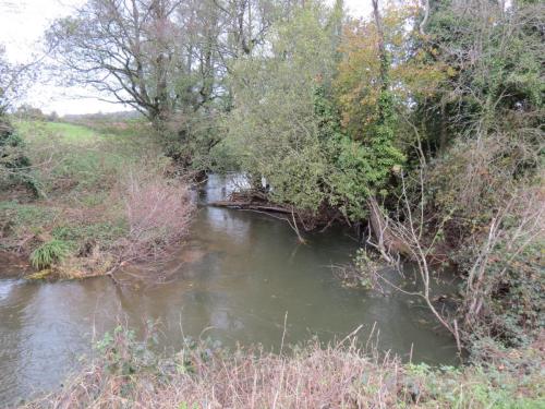 4.-Downstream-from-Wellisford-Manor-Weir-14