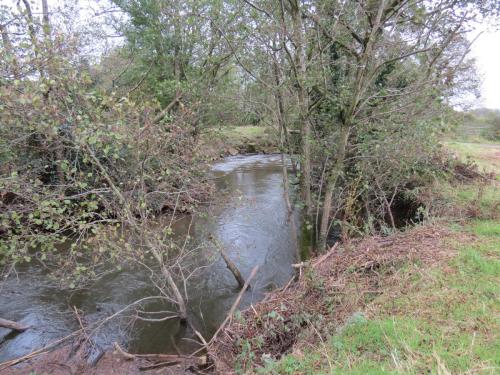 4.-Downstream-from-Wellisford-Manor-Weir-3