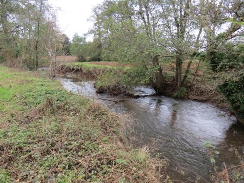 4.-Downstream-from-Wellisford-Manor-Weir-4