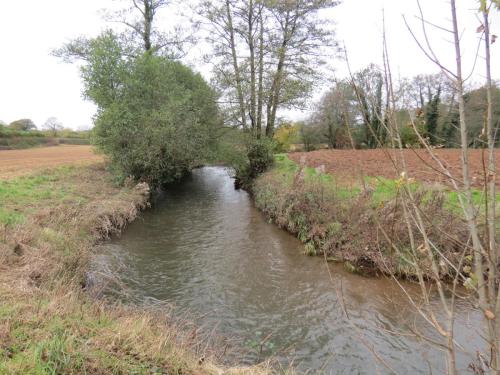 4.-Downstream-from-Wellisford-Manor-Weir-5