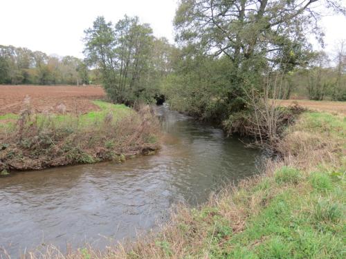 4.-Downstream-from-Wellisford-Manor-Weir-6