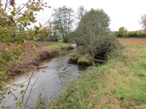 4.-Downstream-from-Wellisford-Manor-Weir-7