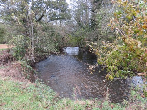 4.-Downstream-from-Wellisford-Manor-Weir-8