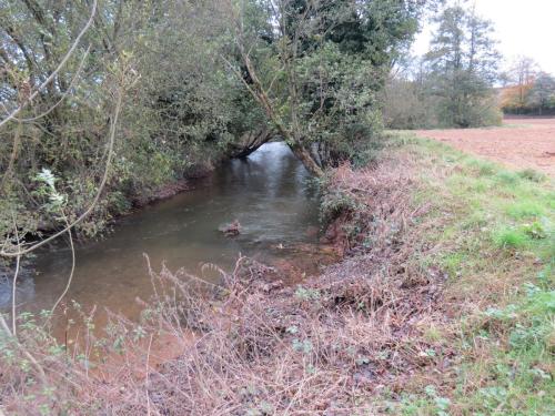 4.-Downstream-from-Wellisford-Manor-Weir-9