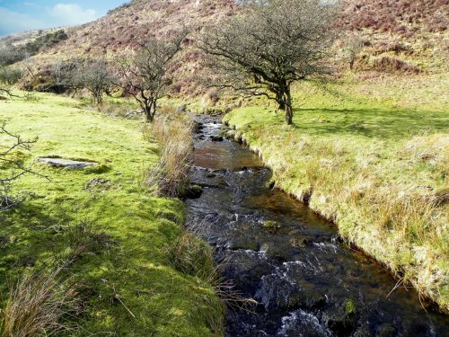 4.-Downstream-from-confluence-with-Embercombe-Water-2
