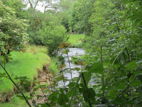 4.-Flowing-behind-the-Youth-Hostel-in-Exford-11