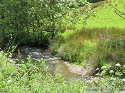 4.-Flowing-behind-the-Youth-Hostel-in-Exford-12