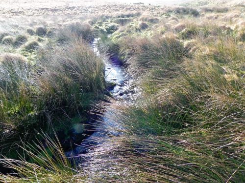 4.-Flowing-below-Hoccombe-Hill-2
