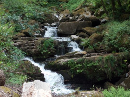 4.-Flowing-through-Glen-Lyn-Gorge-14