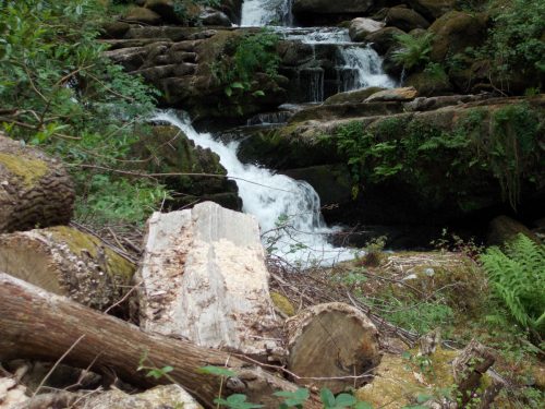 4.-Flowing-through-Glen-Lyn-Gorge-15