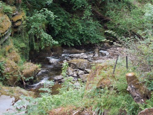 4.-Flowing-through-Glen-Lyn-Gorge-4