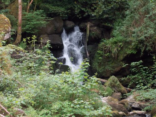 4.-Flowing-through-Glen-Lyn-Gorge-5