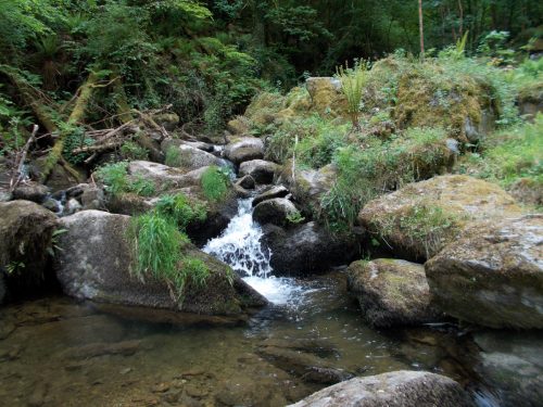 4.-Flowing-through-Glen-Lyn-Gorge-6