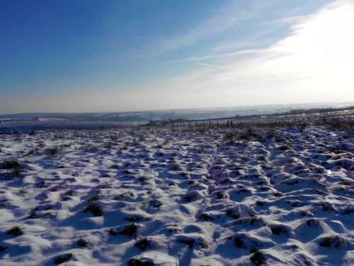 4.-Hoar-Moor-2
