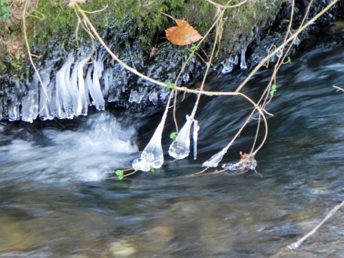4.-Icicles-near-Luckwell-Bridge-2