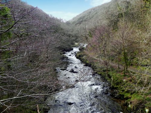 4.-Looking-Upstream-from-Chislecombe-Bridge-2