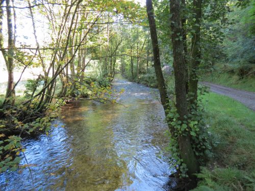 4.-Looking-downstream-from-Nethercote-Bridge